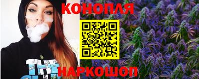 jwh Кингисепп