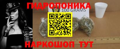 jwh Кингисепп