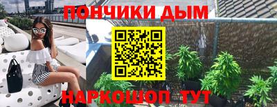 jwh Кингисепп