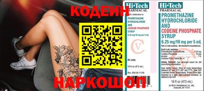 jwh Кингисепп