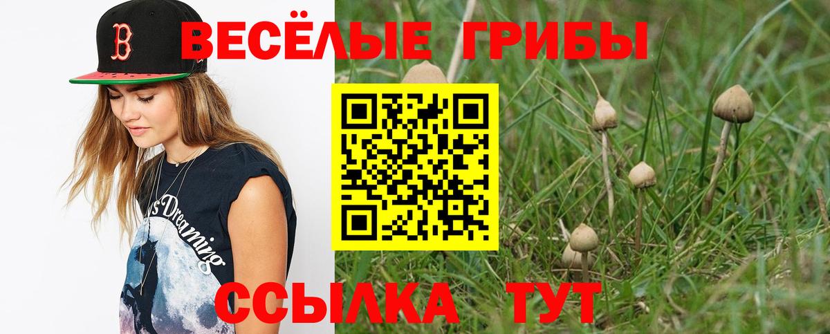 Костомукша  Псилоцибиновые грибы GOLDEN TEACHER  Вход с VPN  Галлюциногенные грибы Cubensis 