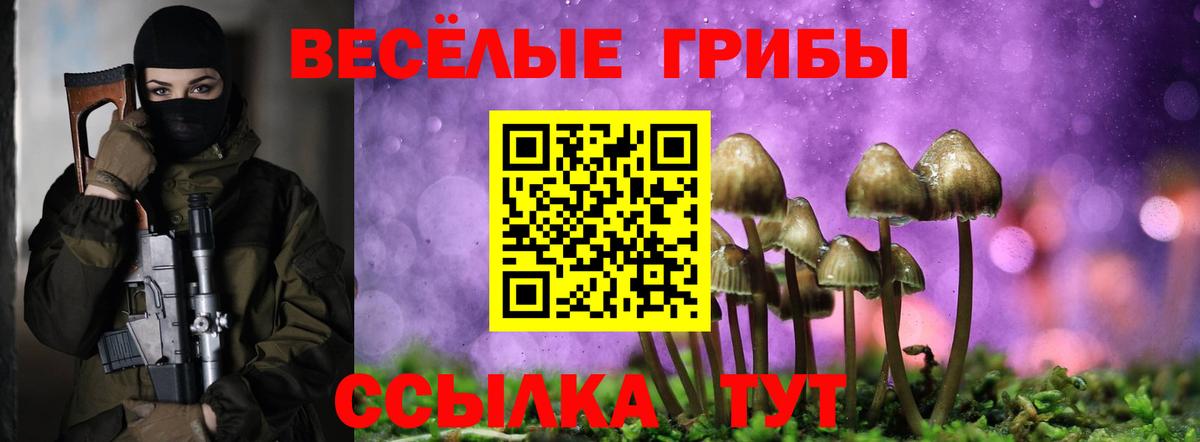 Галлюциногенные грибы мухоморы Костомукша
